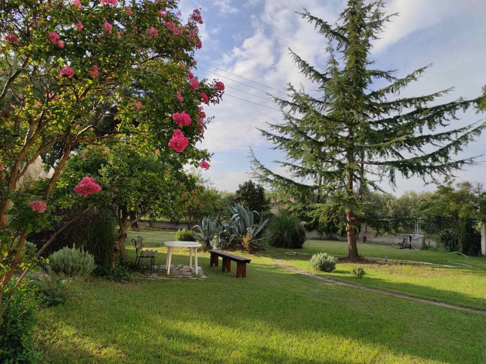 Pond And Pines, By Nice House By The Sea! Epanomí Exterior foto